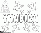 Yhadira, variant of Yadira and Yadhira, name of unknown origin, used for girls in Spanish-speaking countries