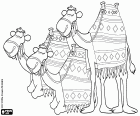 Three camels of the three wise men from Orient