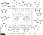 Tigres of UANL, champions of the Opening tournament of 2016,  Mexican football Championship. The fifth championship title in the national first division for CF Tigres in the final against Club América