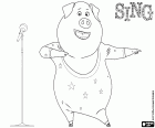 The unbridled dance of Gunter the pig beside the microphone. The performance of Gunter on stage is the great revelation of the contest
