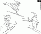 Three types of Olympic skiing. The biathlon and two Alpine skiing, the downhill and the slalom