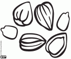Sunflower seeds are eaten raw or toasted as a nutritious snack, ingredient or garnish. Sunflower oil is obtained from these seeds. Here we have some sunflower seeds peeled and in-shell sunflower seeds