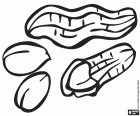 The peanuts are a very nutritious food. Peanuts are eaten peeled and roasted. Peanut butter and peanut oil are produced. The peanut plant is native to America. A few peeled peanuts and other peanuts in shell