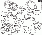 An assortment of nuts and seeds, used as ingredients in many culinary recipes all around the world