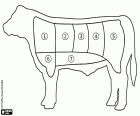 A simple graphic scheme with the cuts of beef. There are different pieces of meat according to the traditions of different countries. The beef meat is very consumed in barbecues
