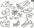Spices are culinary substances of plant origin used for flavor or to give color to the food around the world. In this coloring page we have an assortment of spices