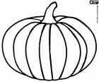 The Pumpkins are the edible fruits of Cucurbits plants, there are many species of cultivated pumpkins. The pumpkin is included as an ingredient in recipes for soups, creams, stews and sweets recipes