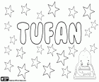 Tufan, turkish name for boy, derived from the Arabic and Persian word that means flood and cyclone. It's also a name for girl and a surname in Turkey