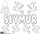 Seymur, name for child popular in Azerbaijan. Seymur has a great resemblance to the name and last name English Seymour