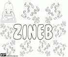 Zineb, name for girl in berber, variant of arabic name Zaynab and Zainab