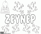 Zeynep, female name used in Turkey, comes from the name of Arabic origin Zaynab