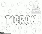 Tigran, male name, very popular in Armenia, variant of Dikran. This name comes from Tigranes, name of ancient kings and other historical figures of Armenia