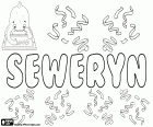 Seweryn, name in Polish for boy, variant of Severinus, name of Latin origin