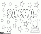 Sacha, unisex name in different languages, variant of Sasha, Sascha, Sasja and Saša, diminutives of Russian origin for Alexander and Alexandra