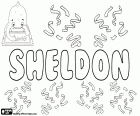 Sheldon, male name of English origin, comes from the same English surname that derives from a place name