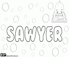 Sawyer, name for boy of English origin, derived from the same surname that means a wood cutter