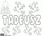 Tadeusz, variant of Taddeusz, male biblical name of Aramaic origin, Thaddai, name in Polish and French, variant of the Greek name Thaddaios and the Latinized name Thaddeus