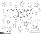 Torey, English name used for both boy and girl, with different possible origins. For example, variant of Torry, male name of Nordic origin in Danish and Norwegian. Also variant of Torrey, name of Gaelic origin, derived from Torrence. Torey, variant of Tori, Japanese female name which means bird