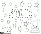 Salik, male name with various origins and meanings, also a surname. Salik, name for boy very popular in Greenland, its meaning is the cleanser, and it could come from the Greenlandic mythology. Salik, male name of Arabic origin, variant of Saliq