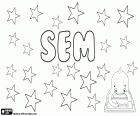 Sem, male name of biblical origin, derived from the Hebrew name Shem, name of one of Noah's sons in the Old testament. Sem, name used in many languages, is also a surname in many countries