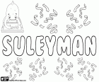 Suleyman, Turkish name for boy, variant of Sulayman, Sulaiman and Suleiman, derived from the name of Hebrew origin Shelomoh, Solomon, its meaning is peaceful