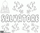 Salvatore, male name in italian, name of Latin origin, derived from Salvator, an ancient christian name, its meaning is the one who saves, the savior, a translation of the Jesus name for the earliest Christians