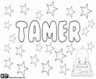 Tamer, male name of Arabic origin used in Egypt as in Turkey and many other countries