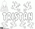 Tristan, name of Celtic origin for boy used in many languages, such as English, French, German, Spanish and Polish, among others. It is also a name for girls in English as a variant of Trista and Tristana