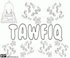 Tawfiq, name of Arabic origin for boy, variant of Toufik, Taufik in Indonesian and Tevfik in Turkish