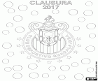Club Deportivo Guadalajara, known as Chivas of Guadalajara, is the champion of Clausura 2017, Mexican football championship