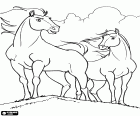 The horses Spirit and Rain, the young horse and young mare are two protagonists of the film Spirit, Stallion of the Cimarron