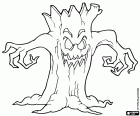 A tree with mouth and eyes, a cursed tree during Halloween, the witches night