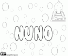 Nuno, male name of medieval origin in portuguese