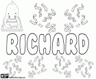 Richard, male name of Germanic origin in many languages such as English, German, French, Romanian, Hungarian, Czech, Slovak and Dutch