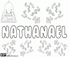 Nathanael, variant of Nathaniel, male name in English derived from  Hebrew name Netan'el