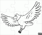 Puzzle with an eagle with its wings fully open in mid-flight