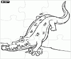 Puzzle of a crocodile going into the river