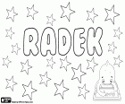 Radek, male name popular in the Czech Republic, also used in Poland. Diminutive of Slavic names as Radovan, Ctirad and Radoslav