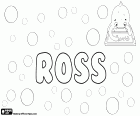 Ross, masculine name in English and Scottish, comes from the same surname of Scottish origin or from the Welsh word, ros, its meaning is promontory