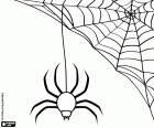 A spider web with a huge spider, two decorative elements for Halloween parties