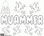 Muammer, Turkish name for boy, variant of  Muamer and Muammar, name of Arabic origin meaning to have long life