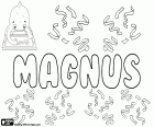 Magnus, name for boy popular especially in Scandinavian countries, such as Sweden, Norway and Denmark. Magnus in Latin means Great
