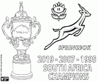 South Africa is the new rugby world champion of 2019. The Springboks have won their third world title after the 1995 and 2007 titles
