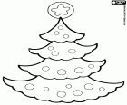 A decorated fir tree for Christmas in many houses