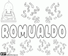 Romualdo, name of Germanic origin, in several languages such as Spanish, Portuguese and Italian, derived from the medieval Latin form Romualdus