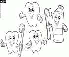 Teeth with their great friends, toothbrushes and toothpaste