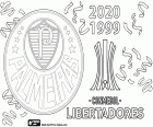 Palmeiras of Sao Paulo has won the title of 2020 Copa Libertadores, beating Santos 1-0 with a goal in overtime. This is Palmeiras' second continental championship after the 1999 Copa Libertadores