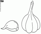 A whole garlic head and a loose garlic. Garlic is a bulb that is used as an aromatizer in many cooking recipes
