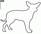 The silhouette of a dog of the Australian Cattle breed, the Australian cattle dog