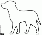 Coloring drawing with the silhouette of a labrador dog with the collar